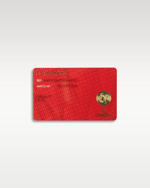 Omega Aqua Terra 150m Gents 220.12.41.21.03.005